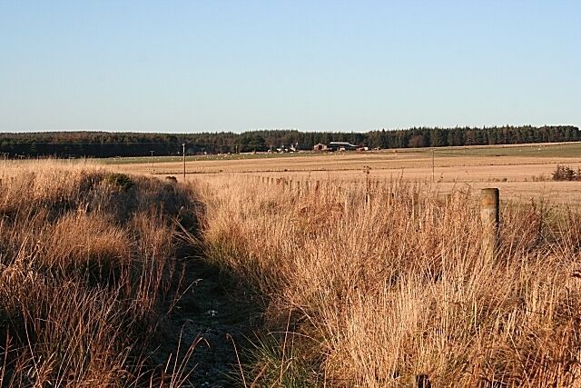 Looking Towards Shalloch Shallcoh itself is in the next field, but the foreground is in square.