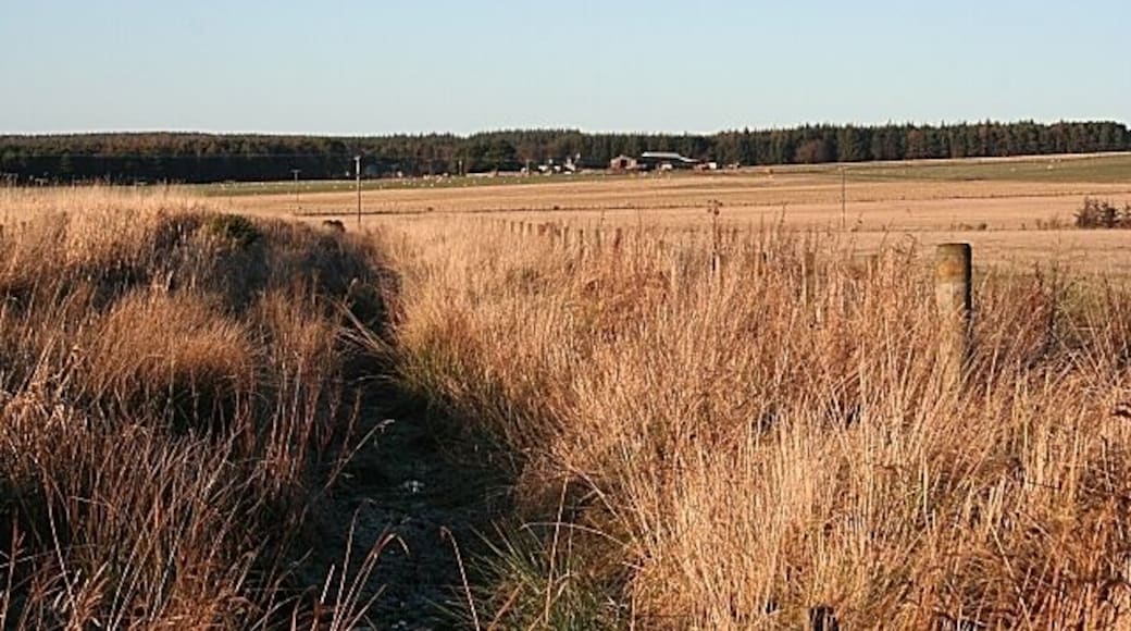 Looking Towards Shalloch Shallcoh itself is in the next field, but the foreground is in square.