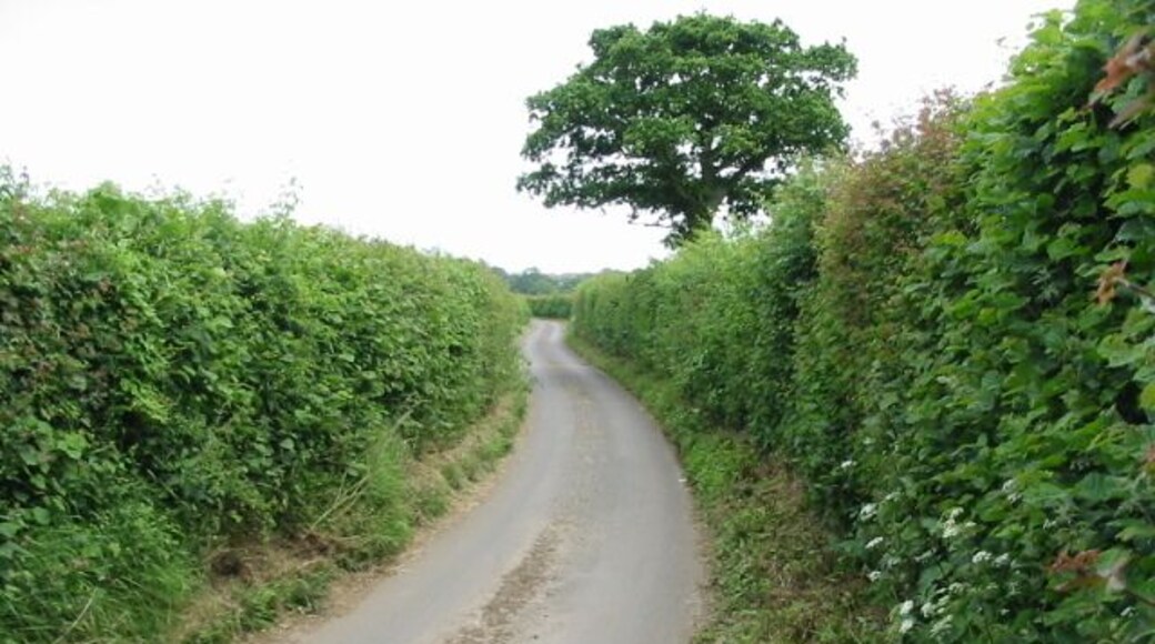 View along Pay Street Looking SE in the direction of the A260 just outside Hawkinge