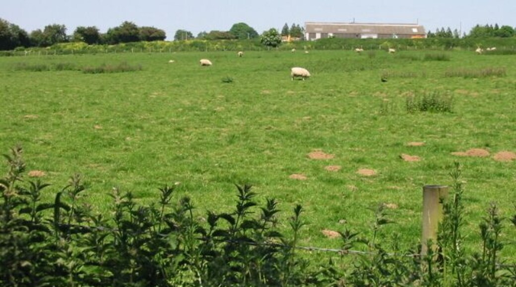View across the field towards Smezzel Written as Smezzel on the OS maps, the Magic (Multi Agency Geographic Information) map shows this as Smersole http://www.magic.gov.uk/website/magic/viewer.htm?startTopic=magicall&chosenLayers=moncIndex&xygridref=621500,143500&startscale=10000