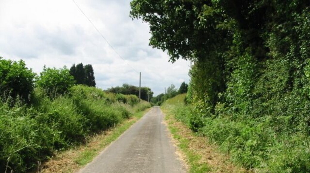 Looking WNW along Fox Holt Road