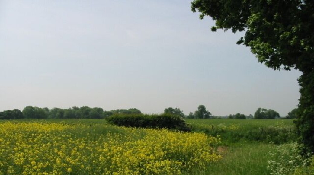 Looking SW across the fields from Swanton Lane