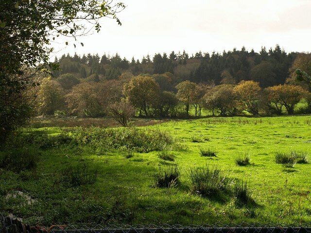 Meadow near Baccamore From the lane junction near Baccamore Pits, a view down a narrow meadow beside Ridgecot Lake.
