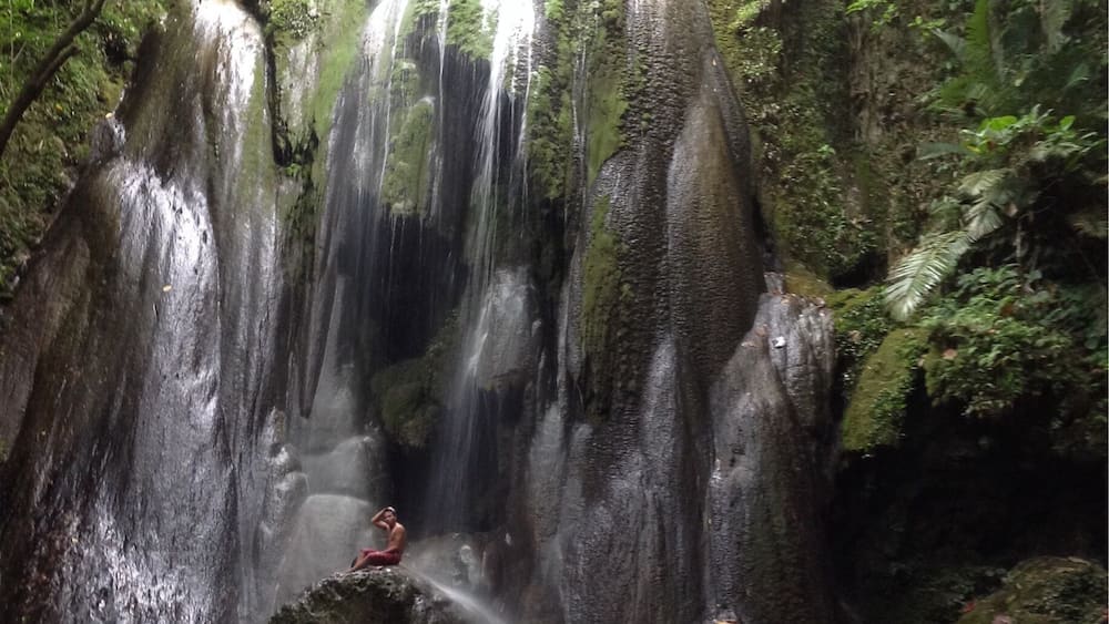 A waterfall cascading down a moss-covered rock face surrounded by lush greenery.
