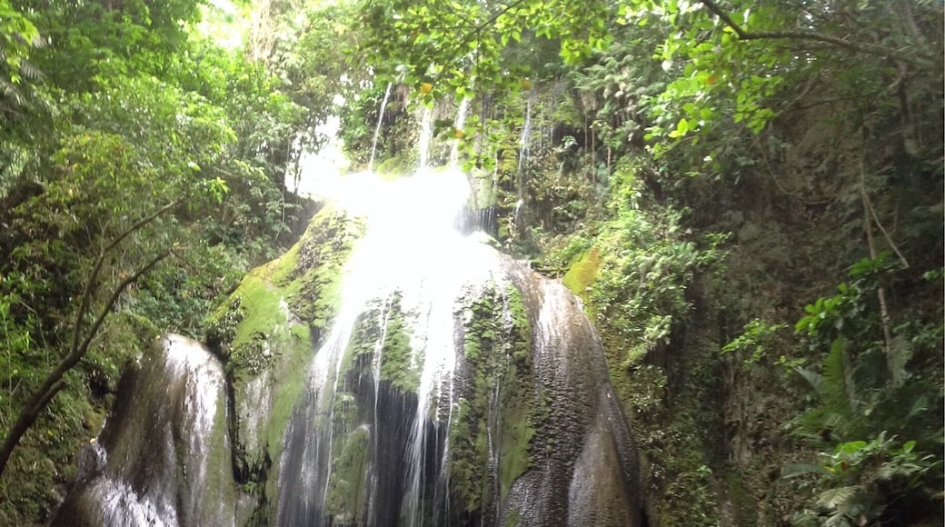 The enchanting Nalalata Falls.
#BulaCamarinesSur #Philippines #travelph #RomWanders