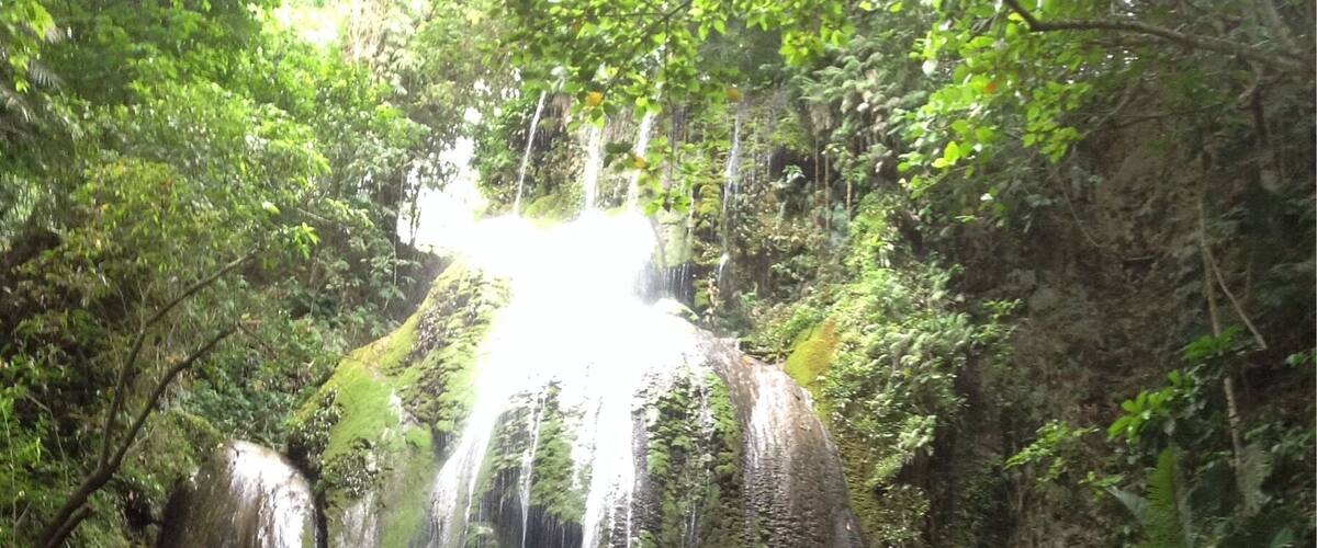 A waterfall cascading down a moss-covered rock face surrounded by lush greenery.