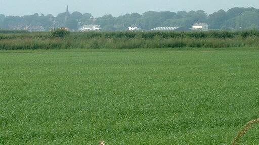 Thornton Hough from Upper Raby Rd