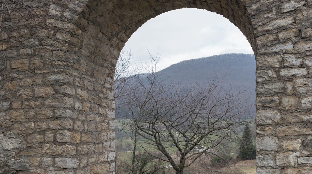 Castle Sulzburg in Lautertal.