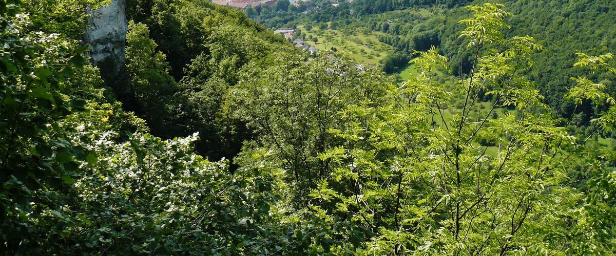 Blick in das Lenniger Tal