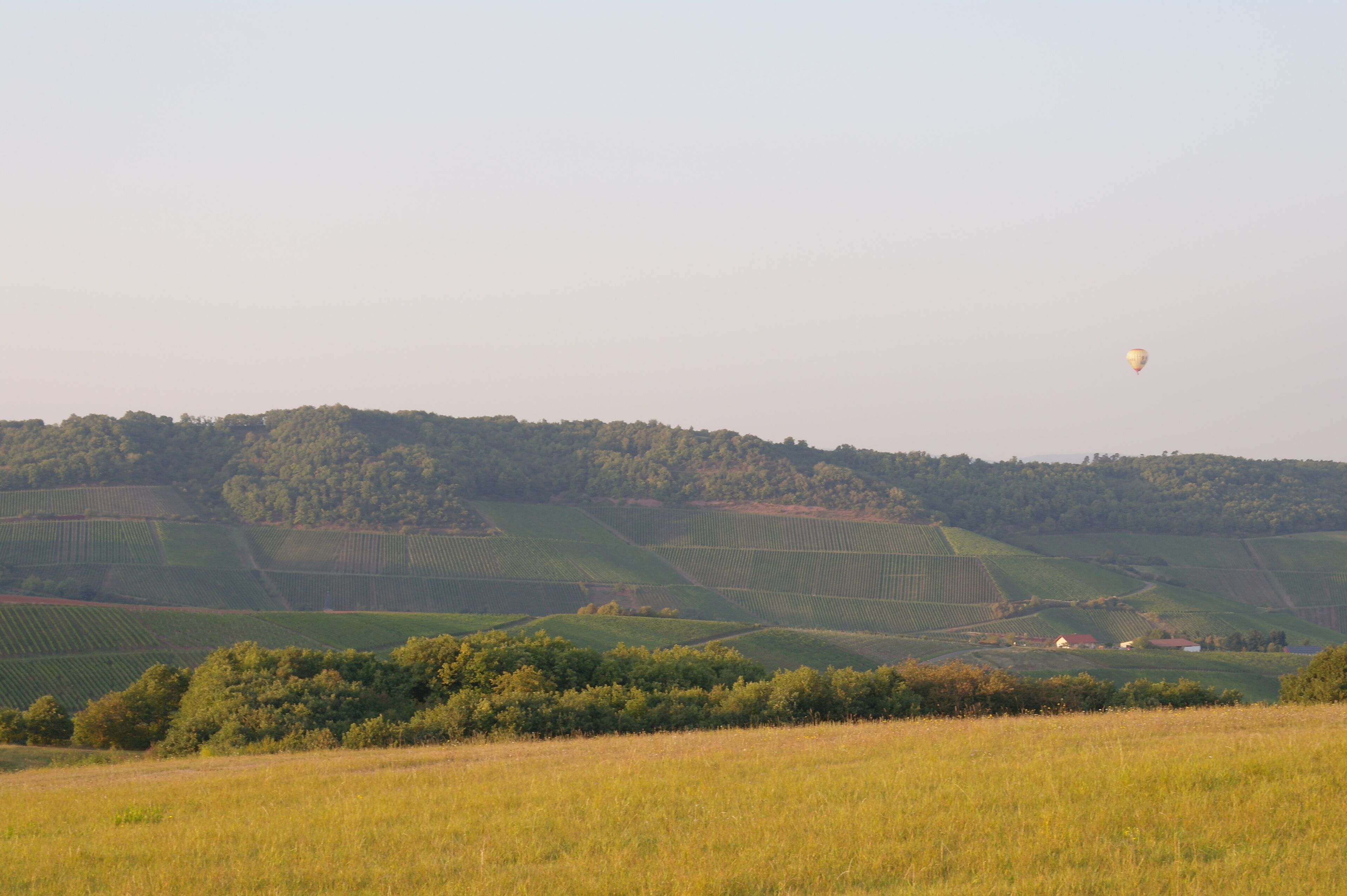 Weinlage KIRSCHROTHER LUMP