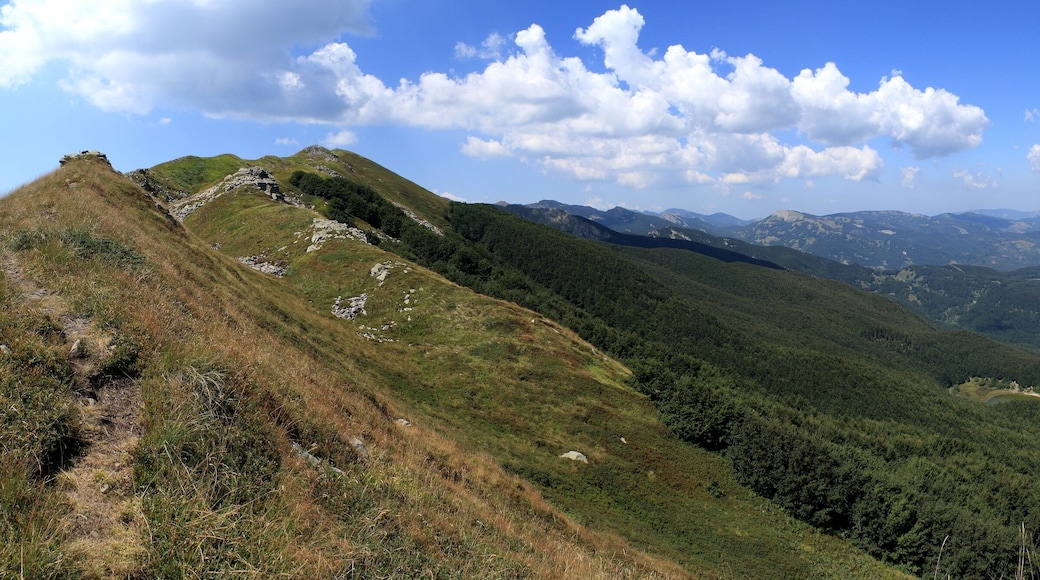 Lago Scuro - Lago Verdarolo da monte Malpasso