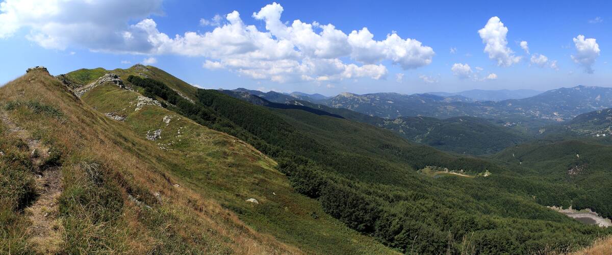A mountainous landscape with a winding path, dense forests, and distant hills under a clear blue sky.