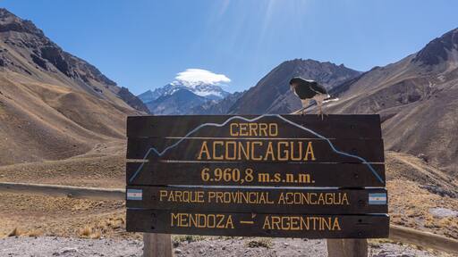 Ave sobre cartel de cerro Aconcagua