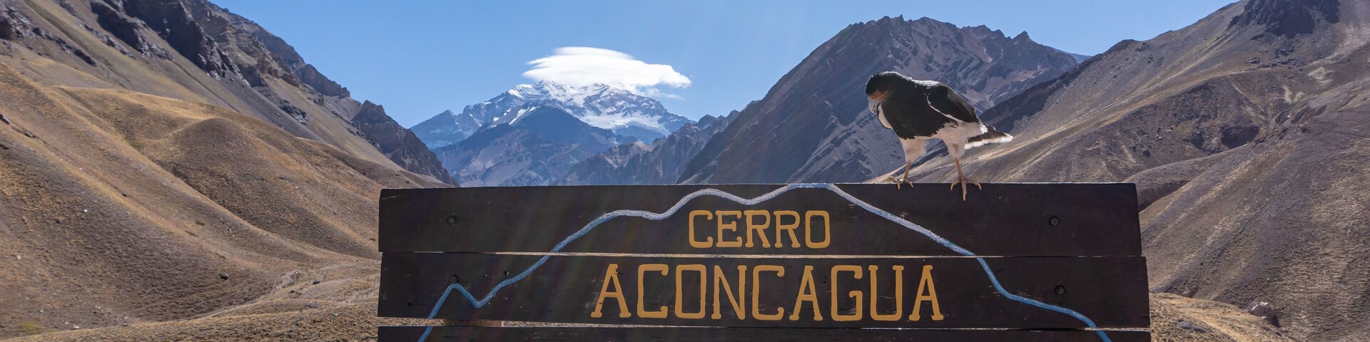 Ave sobre cartel de cerro Aconcagua