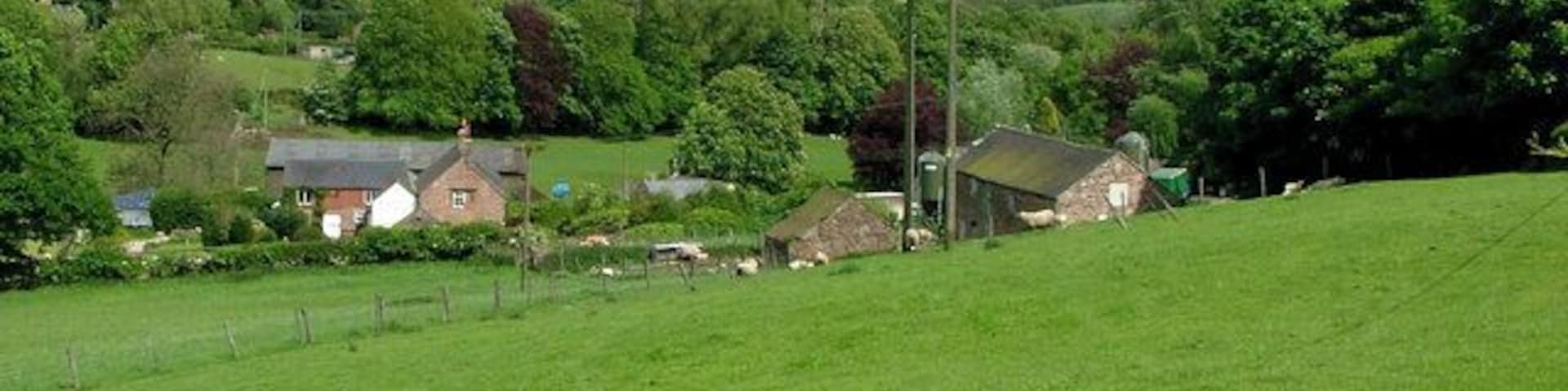 View from High Lee towards Nether Lee