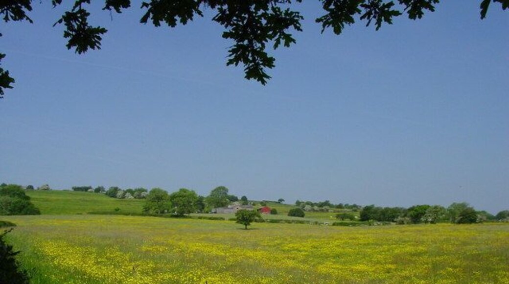 Hays Farm near Rushton Spencer