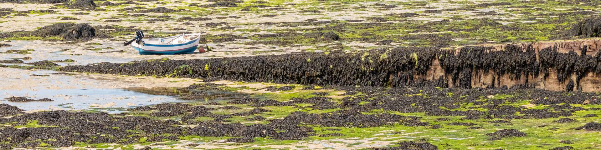 Portsall Cove at low tide
