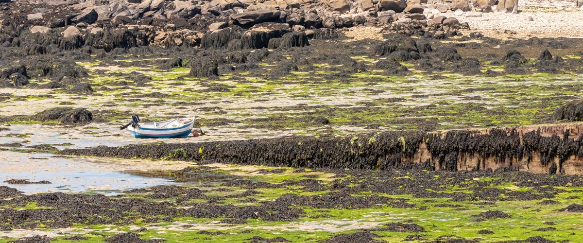 A rocky shoreline with a lighthouse, a small boat, and a clear blue sky.