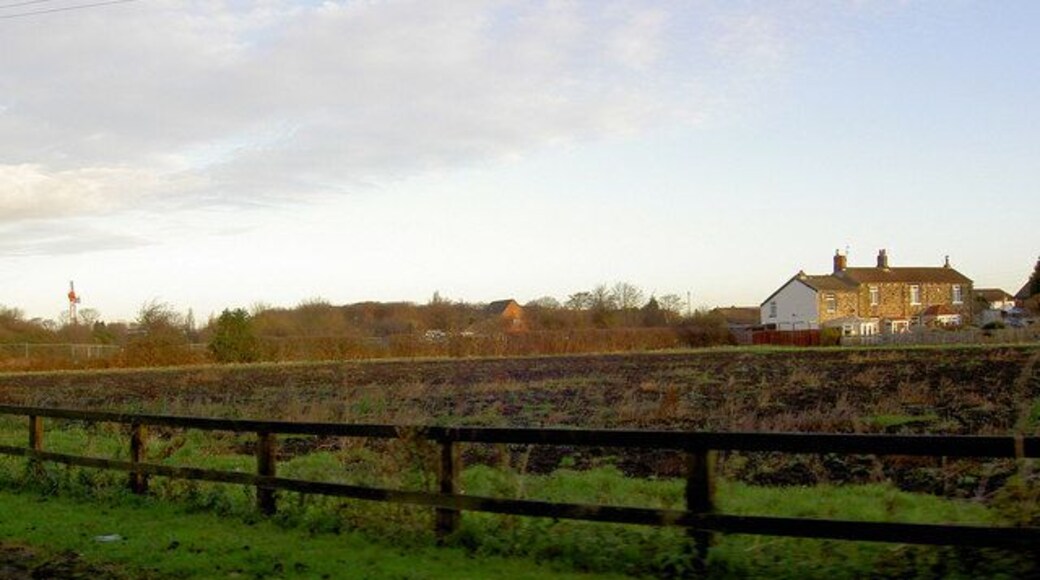 Rhubarb field in Winter This area of West Yorkshire is famed for its rhubarb production.