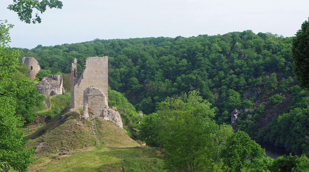 Crozant (Creuse). Ruines de la forteresse de Crozant (XIIIe, XVe). Aux portes de l'ancienne province de la Marche*, la forteresse est située sur un éperon granitique surplombant le confluent de la Creuse et de la Sédelle.
Le relief particulier du site, l'avait probablement fait choisir comme lieu de défense depuis le néolithique. Trois époques d'installation sont incontestables : le bronze moyen, le bronze final et le premier âge du fer (Sondages archéologiques effectués entre 1964 et 1974 par Benjamin Lasnier) Les premières fortifications peuvent peut être être attribuées aux Wisigoths* qui cherchaient à protéger leur frontière septentrionale des Goths. Le nom même de Crozant, forme dérivée de "Crozenc", serait d'origine franque (suffixe germanique "enc")*. Les premières traces écrites sur Crozant remontent au début du XIème siècle. D'après les chroniques de Geoffroy de Vigeois, Gérald (ou Géraud ou Gérard), comte de Crozant et vicomte de Bridiers, vend la Villa Sosterranea (La Souterraine dans la Creuse) à l'Abbaye Saint-Martial de Limoges. Par contre, le château n'est cité, dans les mêmes Chroniques, que vers le milieu du XIIe siècle (1140). (généalogie par Cedric de Crozant de Bridiers). La construction la plus ancienne serait la base du donjon carré qui pourrait remonter au XIIe siècle. En 1177, le comté de la Marche, dont Crozant fait partie, est cédé au duc-roi Henri II Plantagenêt. Le château prit son aspect définitif au XIIIème siècle, alors que Crozant appartenait à Hugues X de Lusignan*. C'est à cette époque, sous l'influence de sa femme, Isabelle d'Angoulême, veuve de Jean Sans Terre, mère de Henri III d'Angleterre, que les constructions les plus importantes sont réalisées (Tour d'Isabelle / 1217-1245, Tour du Renard, Tour Colin). Après les Lusignans, se succéderont comme Comtes de la Marche et propriétaires de Crozant, des Bourbons, des Armagnacs, puis de nouveau des Bourbons. Le 22 août 1356, le château de Crozant résiste aux assauts des anglo-gascons du Prince Noir* qui mettront le village à sac. Au XVe siècle, suite aux dégâts de la guerre de Cent Ans, Charles VII fit restaurer le château, le rendant habitable. Le Donjon est aménagé avec fenêtres à coussièges* et cheminées, sur 3 étages. Le château perd alors son caractère défensif. Pendant les guerres de religion, le château passera de mains catholiques à protestantes, puis de nouveau catholiques. "Une reconstruction de la courtine et une réfection des parements de la tour pourraient avoir été réalisées à l’issue d’un tremblement de terre en 1606. Cet événement, s’il n’a pas ruiné immédiatement la tour, l’a largement fragilisée. a complété sa destruction. Les effondrements qui en découlent entraînant l’abandon définitif de ce secteur du site castral interviennent quelques années plus tard". (Patrick Bouvart, « Crozant », ADLFI. Archéologie de la France - Informations , Limousin) La forteresse abandonnée servira de carrière aux villageois. Un acte de vente de 1640 précise que le château était en ruines. Plusieurs fois revendu, le site est devenu propriété de la commune en 1994. Depuis l’aube des temps, les pèlerins qui se rendent à Saint Jacques de Compostelle en venant du Nord ont emprunté ce chemin qui est toujours d’actualité. Le site des ruines de Crozant, en raison de la présence en hiver d’espèces particulières de chauves-souris, fait partie de la liste départementale des sites précis d’intérêt biologique remarquable. "La splendeur des paysages de la vallée de la Creuse a attiré de nombreux artistes comme Monnet. Ce foyer artistique est notamment né grâce à l’attachement de Georges Sand pour cette région qu’elle fréquente de 1827 jusqu’à sa mort en 1876. Le poète Maurice Rollinat a également participé au développement de la notoriété de ce site. Dès le salon officiel de la peinture à Paris en 1864, Crozant parvient à attirer de nombreux artistes tels que le peintre impressionniste Guillaumin. C’est également à cette date que ce mouvement est appelé « Ecole de Crozant ». Dès lors, la vallée devient une source d’inspiration pour de nombreux artistes venant de toute l’Europe afin de s’adonner à l’art du paysage. Ces derniers sont séduits par l’authenticité des lieux, la pureté de la lumière et la vivacité des coloris. Au cœur du mouvement qui attira de nombreux peintres, Crozant est le site le plus représenté." (Antoine Chilloux - Aurore Coudert - Séverine Michaud - Maëlle Vergne. Projet pour les visites des ruines de Crozant - Mars 2011- Master Valorisation du patrimoine et aménagement du territoire - Université de Limoges et Lycée agricole d’Ahun) La Marche, qui fut aussi un comté, couvrait presque totalement le département actuel de la Creuse, moins d'une dizaine de cantons de Haute Vienne, et quelques cantons de l'Indre et de la Charente.La Marche constituait la limite nord de l'occitan. La province de la Marche sera supprimée en 1790. Les Wisigoths (anciennement Tervinges de "tervingi"= gens de la forêt), constituent avec les ostrogoths (greutungi = gens de la grève), un des deux rameaux du peuple des Goths. Les Wisigoths, installés entre Dniepr et Danube, sont contraint de fuir vers l'Ouest, poussés par l'avancée des Huns. Après s'être installés dans les Balkans, il mettent Rome à sac en 410. Vers 480, le royaume wisigothique à son apogée s'étendra de la Loire à Gibraltar et de l'Atlantique aux Alpes. Le déclin des Wisigoths arianisés commencera en 507 avec la défaite de Vouillé, face aux francs de Clovis, roi chrétien. Les dernière possessions, nord du Portugal et Galice, seront conquises par les musulmans en 711. Le suffixe "enc" serait d'origine germanique, il indiquerait l'origine. Le toponyme de l'ancienne province de la Marche ne dérive t-il pas, lui aussi, du germanique "marka" ( limite, frontière). Mais on remarquera que le suffixe "enc" est également très présent en occitan pourtant faiblement germanisé. Le suffixe "enc" rappelle également les Ligures. En 1200, la fiancée de son père Hugues IX de Lusignan, Isabelle Taillefer, héritière du comté d'Angoulême est enlevée par le roi d'Angleterre Jean sans Terre. Cette enlèvement n'a rien de "romantique", il s'agit juste d'empêcher l'alliance du roi de France avec le puissant comte de Lusignan. Depuis ce scandale, les Lusignan sont dans le camp capétien et hostiles aux intérêts Plantagenêt. Philippe Auguste, profitera de ce "fait divers" pour déclencher « la commise » des terres de Jean. C'est le début du démantèlement de l'empire Plantagenêt sur le continent. Isabelle deviendra reine "consort" d'Angleterre. A la mort de Jean sans Terre en octobre 2016, son fils aîné deviendra roi d'Angleterre ( Henri III). En 1220, Isabelle épouse Hugues X de Lusignan, comte de la Marche, le fils de son ancien fiancé. C'est probablement Isabelle qui amène Hugues de Lusignan à organiser un front commun avec son fils Henri III d'Angleterre, contre le roi de France Louis IX. Le roi anglais organise alors, une expédition armée contre le roi de France, dans le Poitou . Ses troupes sont battues à Taillebourg, le 21 juillet 12423. Hugues de Lusignan se ralliera à nouveau au roi de France. Le Prince Noir (Edouard de Woodstock, fils du souverain anglais Edouard III) a quitté l' Angleterre et débarqué en Aquitaine en 1355 afin de veiller à la protection des possessions anglo-gasconnes. Le 4 août 1356 débute, à partir de Bordeaux, une campagne, ou plutôt une chevauchée, qui dévastera une grande partie du Bergeracois, du Périgord, du Nontronnais, du Confolentais, du Nord-Ouest du Limousin, de la Marche, du Boischaut, de la Champagne berrichonne, du Berry, de la Sologne, du Sud de la Touraine et du Poitou, et se terminera, malgré la supériorité numérique française, par le désastre de Poitiers, le 19 septembre 1356, 10 ans après celui de Crécy. Dans la déroute, beaucoup de chevaliers sont faits prisonniers, d'autres abandonnent le roi Jean II le Bon qui est, lui même, fait prisonnier ainsi que son fils Philippe le Hardi (souvenez vous : «Père, gardez-vous à droite, père, gardez-vous à gauche !»). Les coussièges sont des bancs ménagés dans l'embrasure de la fenêtre. .