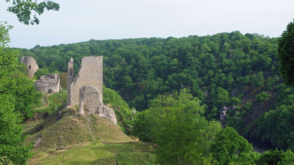 A historic castle ruin surrounded by lush green forest and hills.