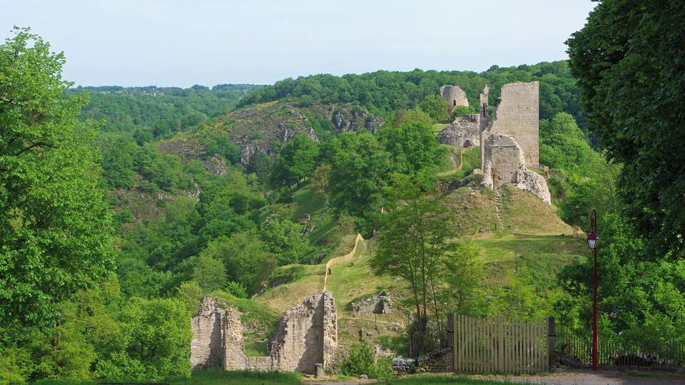 A historic castle ruin surrounded by lush greenery and trees.