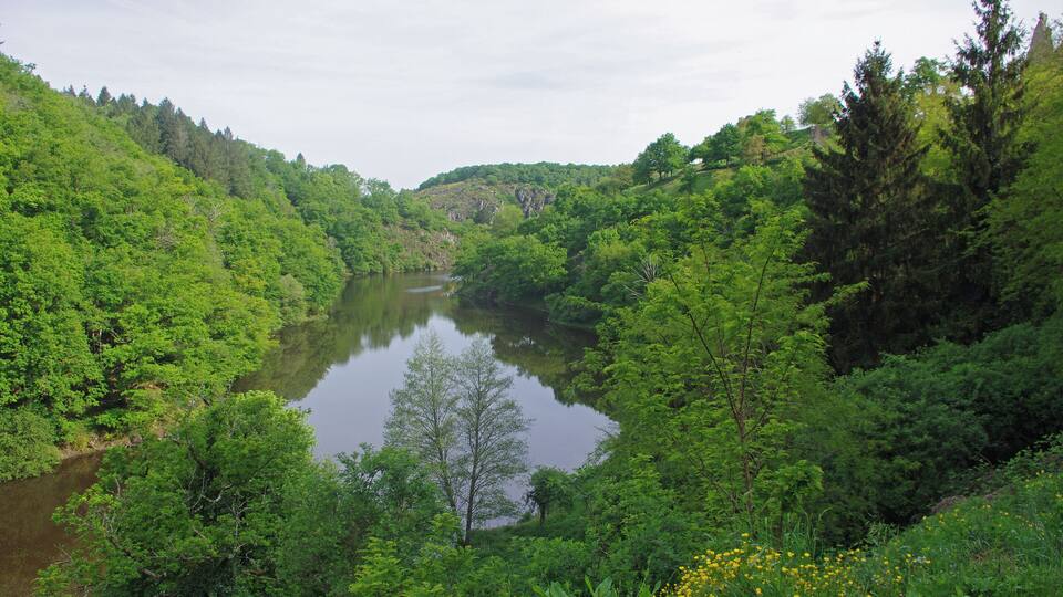 A river surrounded by dense green forest and hills.