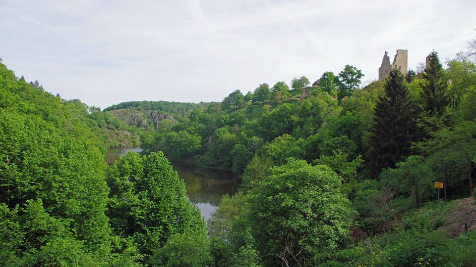 A lush green valley with a river, dense forest, and a ruined castle on a hill.