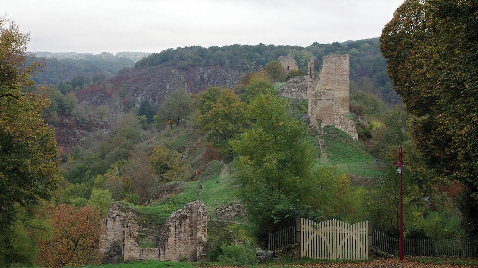 A historic stone castle ruin surrounded by a forested hillside.
