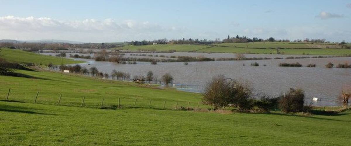 A grassy field with a lake and distant hills.