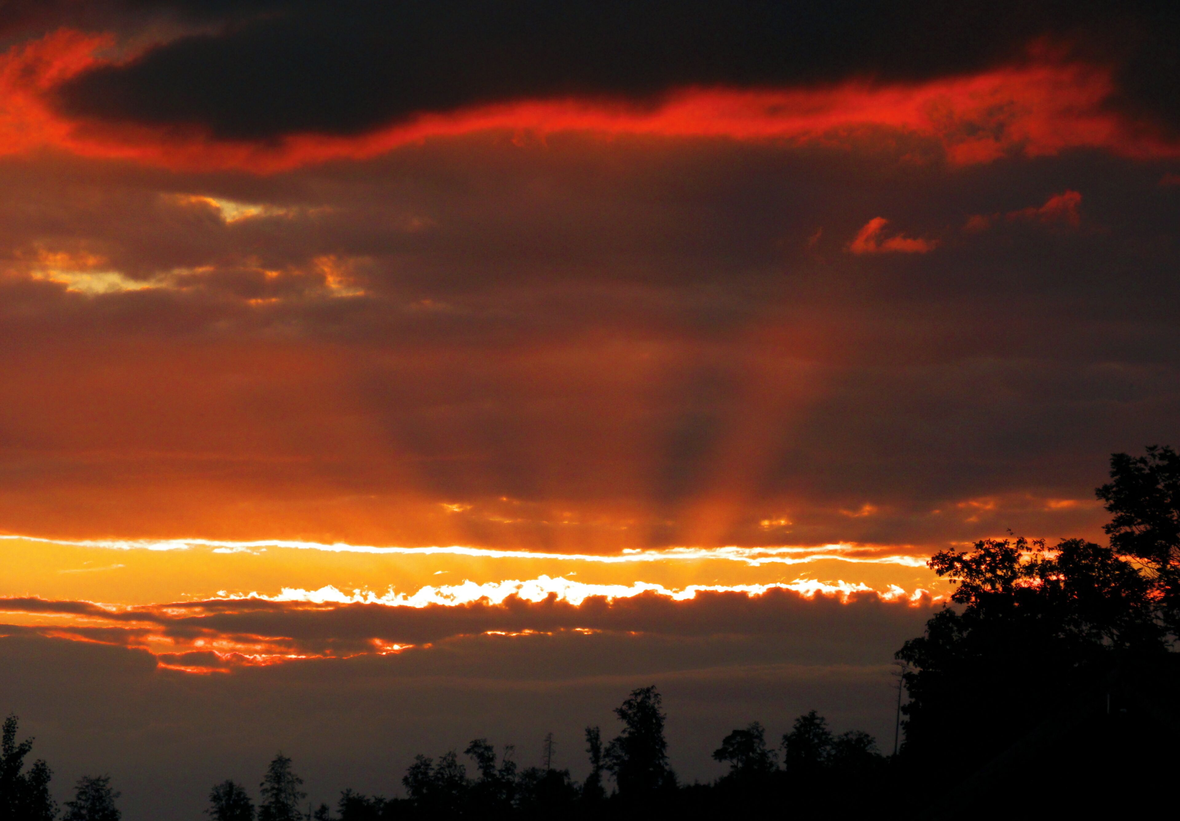 The Shadow Went Back Home