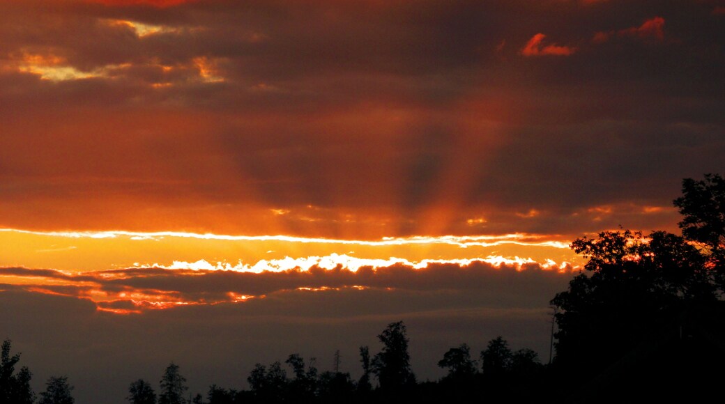 The Shadow Went Back Home