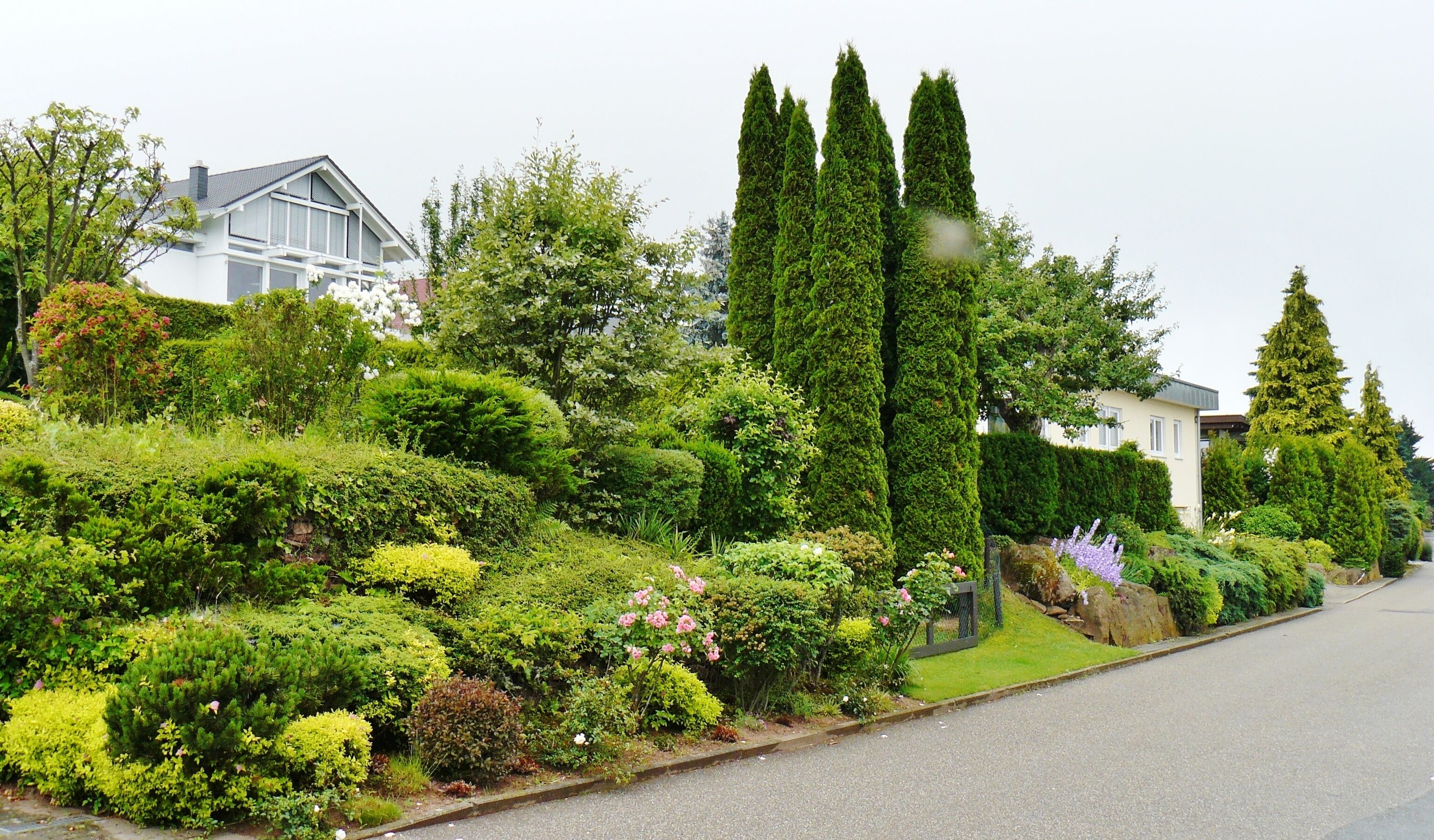 Grunbach (Engelsbrand)