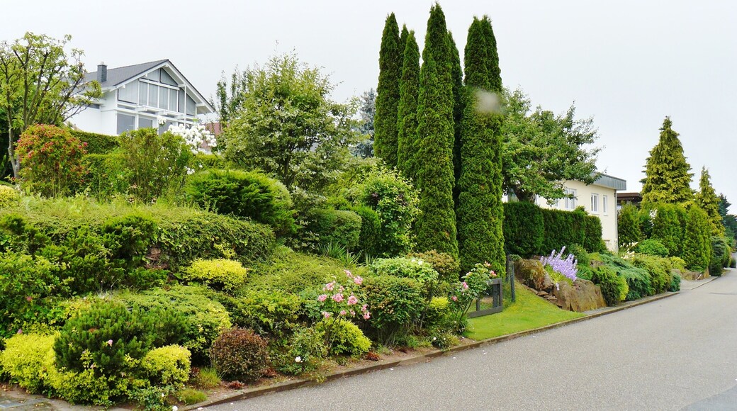 Grunbach (Engelsbrand)