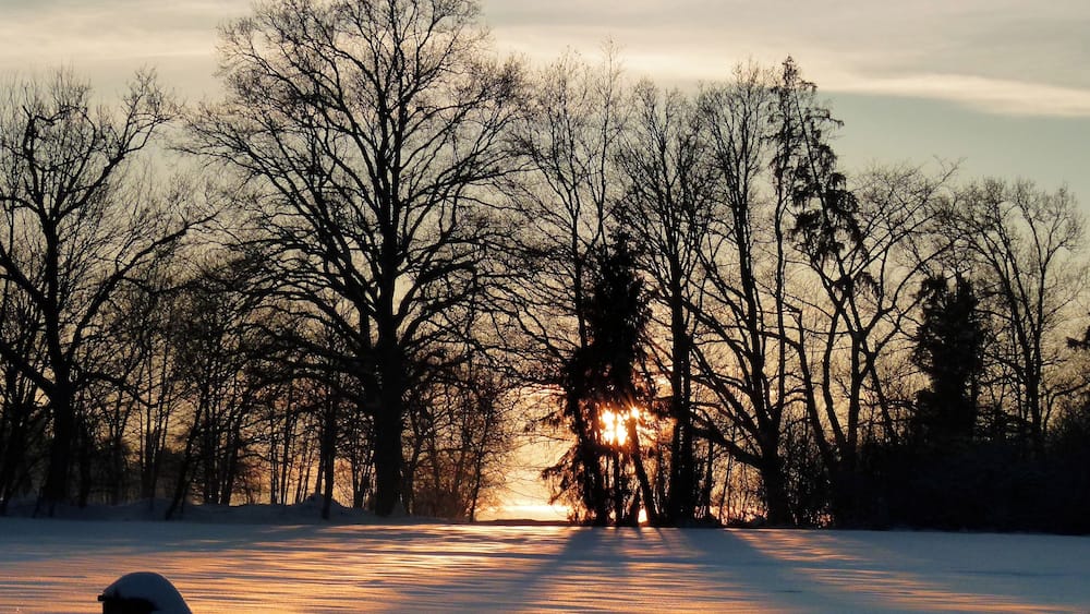 Une route enneigée, bordée d’arbres sans feuilles, avec le soleil couchant à l’horizon.
