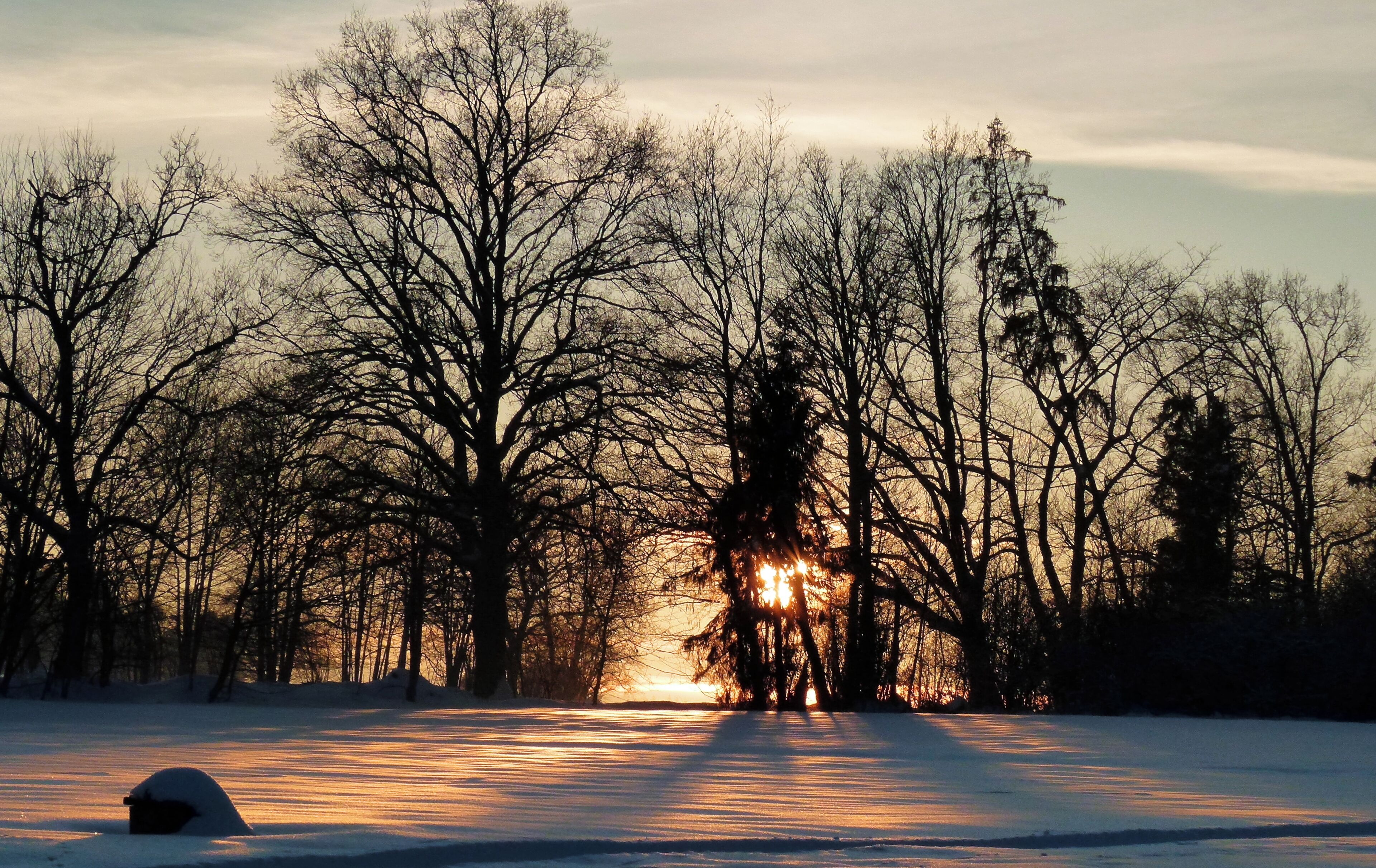 A snow-covered road flanked by leafless trees with the sun setting in the distance.