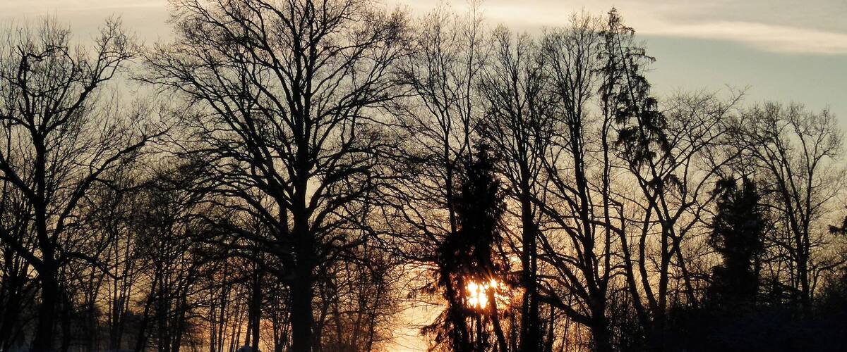 A snow-covered road flanked by leafless trees with the sun setting in the distance.