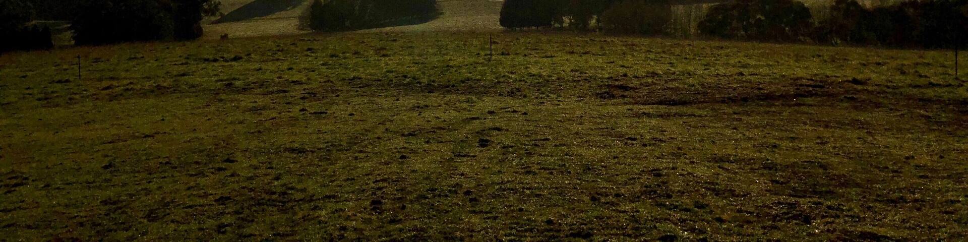 Sunrise in Melbourne, Australia