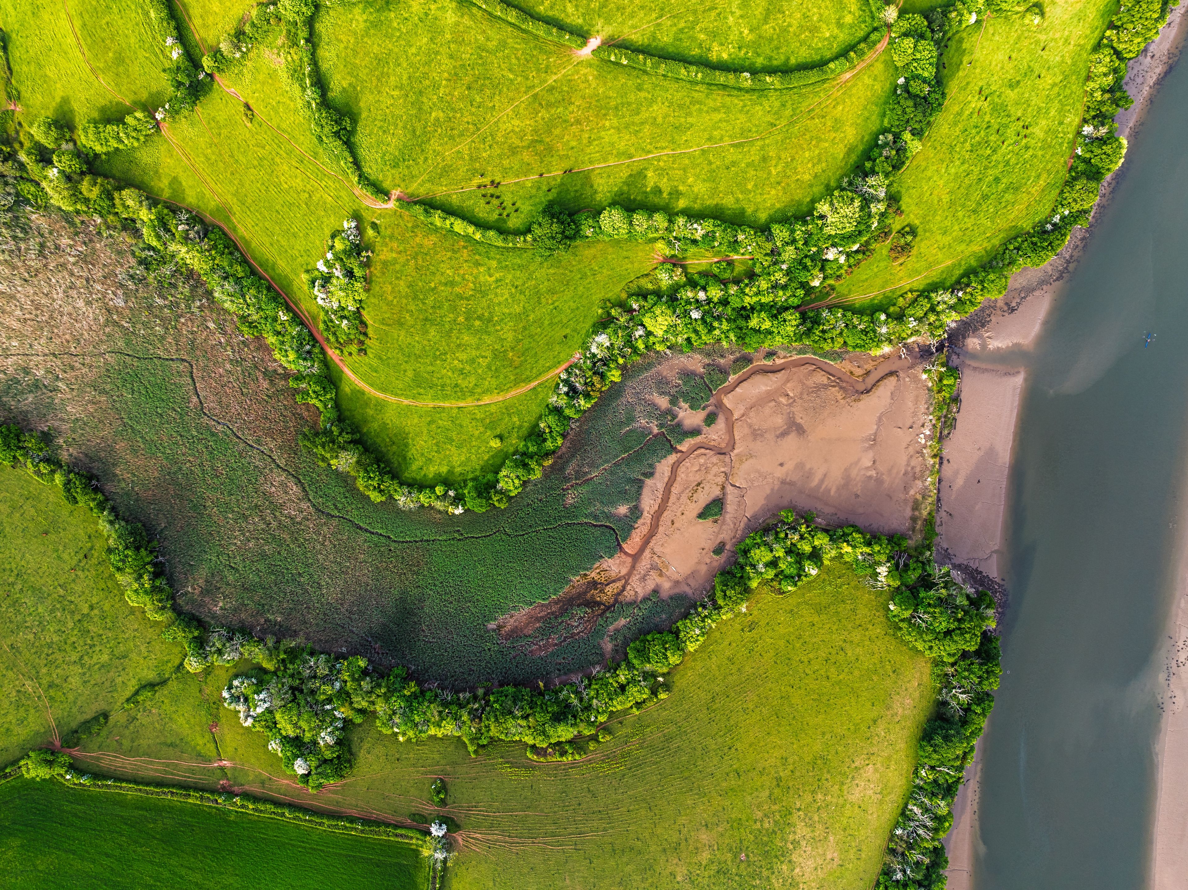 An aerial view of a river winding through green fields and a sandy beach area.