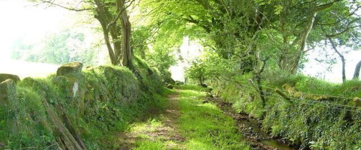A narrow, grassy path flanked by stone walls and trees, leading towards a body of water.