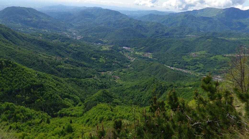 "Strada delle 52 Gallerie" (Road of 52 Tunnels). An amazing and picturesque hike through a mule road built during WW1 which consists of 52 tunnels dug through the mountain. Nice restaurant at the top with hot food and cold beer along with a great panoramic view. Total distance to the top is roughly 6.5 km.