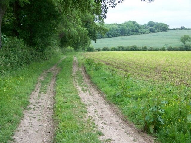 Footpath towards Wiltshire Copse The footpath crosses the course of a Roman Road as it heads towards Wiltshire Copse, a wood that straddles the Wiltshire/Dorset border.