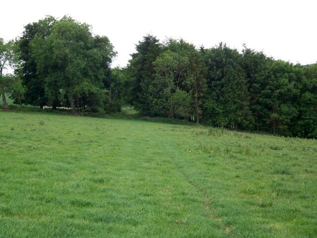 Bridleway towards Washers Pit Coppice The bridleway continues across the downland with the hill dropping down to the slope dropping down to a minor road.