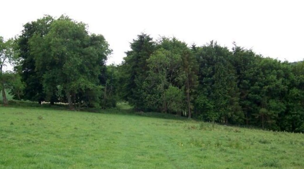Bridleway towards Washers Pit Coppice The bridleway continues across the downland with the hill dropping down to the slope dropping down to a minor road.