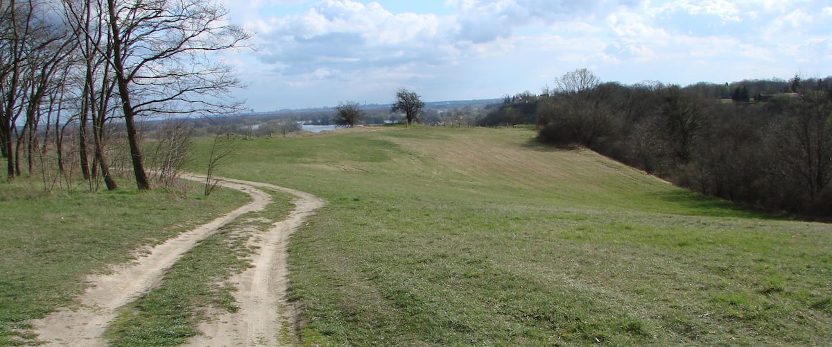 A dirt path winding through a grassy field with trees on the left and a hill on the right.