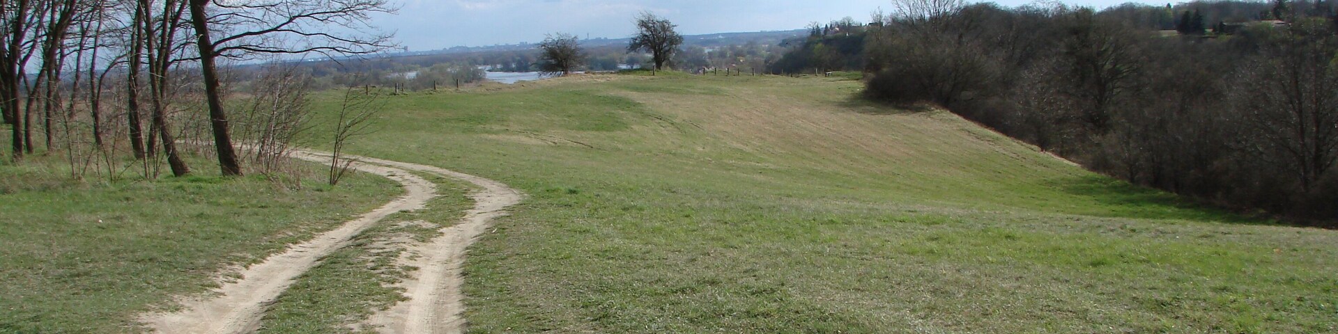 A dirt path winding through a grassy field with trees on the left and a hill on the right.