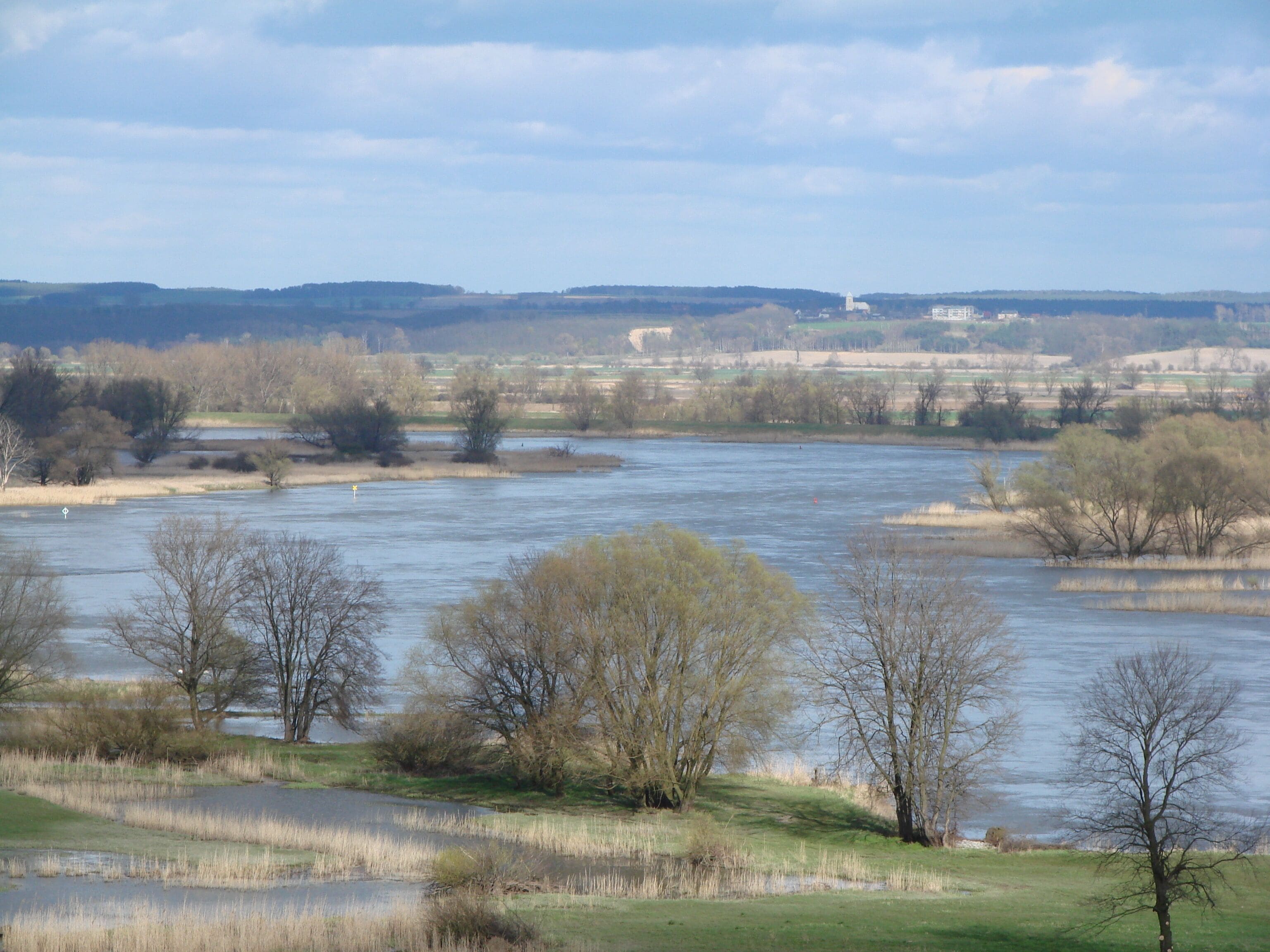 Lebus Oderniederung nach Polen