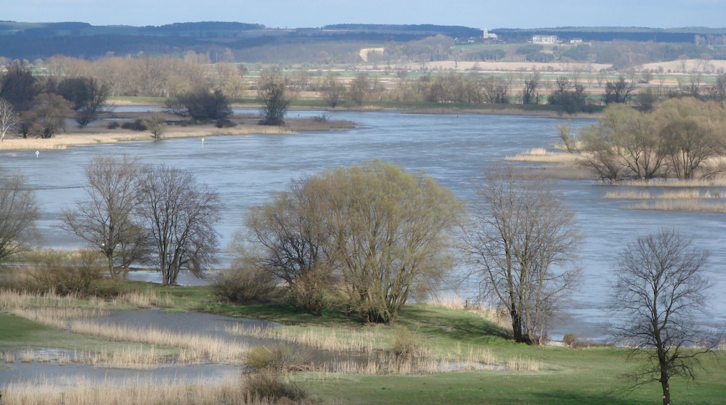 Lebus Oderniederung nach Polen