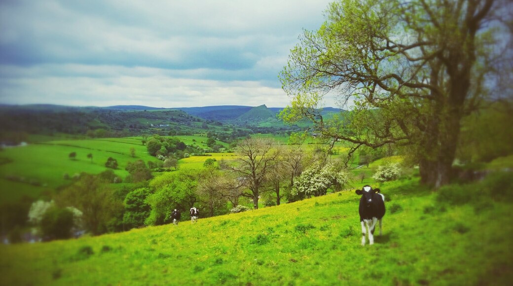 Hartington Middle Quarter, UK