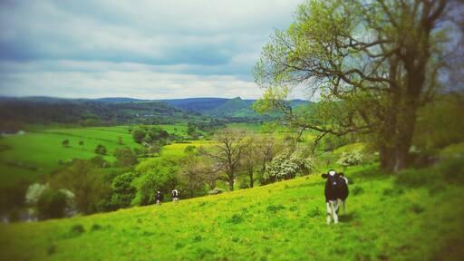 Hartington Middle Quarter, UK